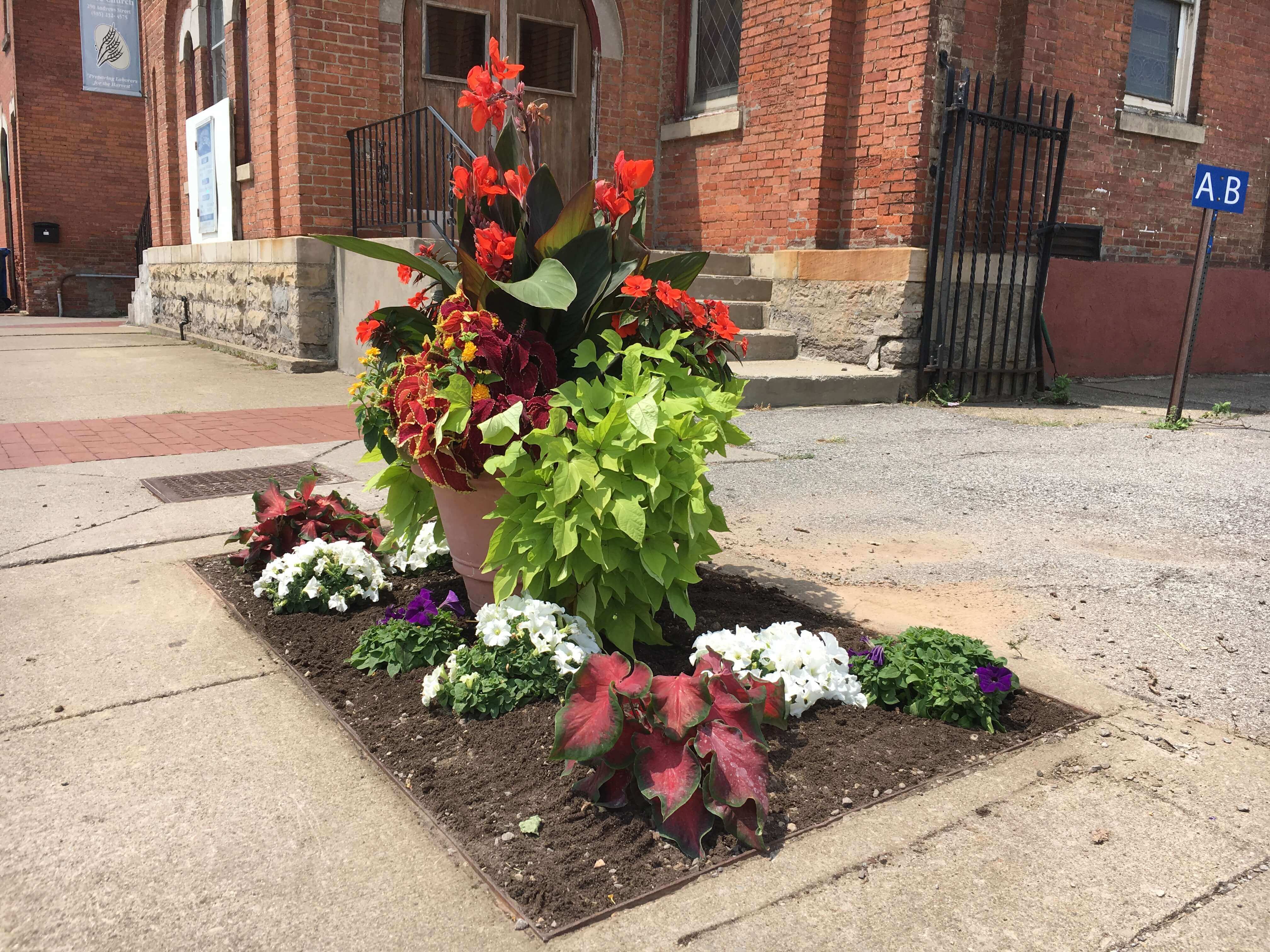 Beautiful flower planter in downtown Rochester